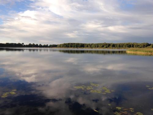 a large body of water with trees in the background at FeWo Honighof Hümmling in Neu Heinde