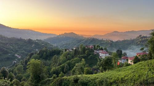 a town on top of a hill at sunset at Çolakoglu konagı in Cayeli