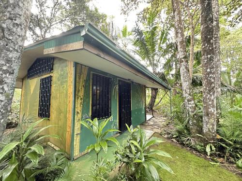 a small green and yellow house in the woods at Chosa Manglar Suites & Cabins in Puerto Jiménez