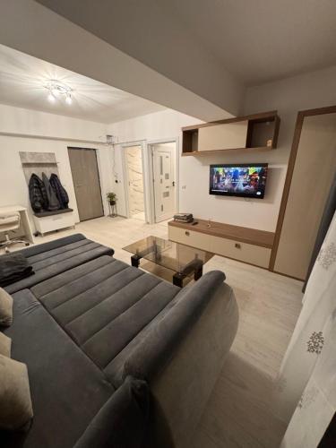 TV a/nebo společenská místnost v ubytování Studio Brancoveanu 98