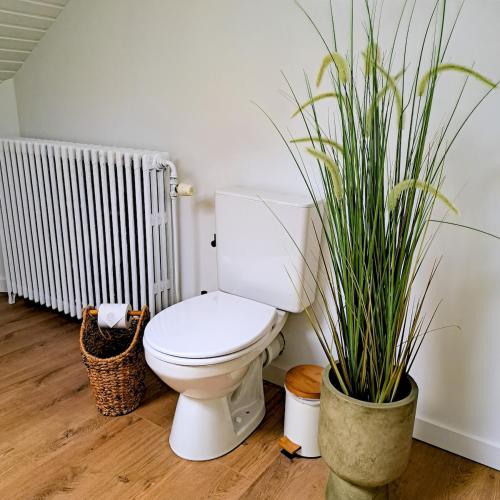 a bathroom with a toilet and a potted plant at Chambre et salle de bain privative in Liège