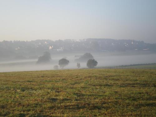 a field in the fog with trees in the background at Willekes Blütenhof in Madfeld