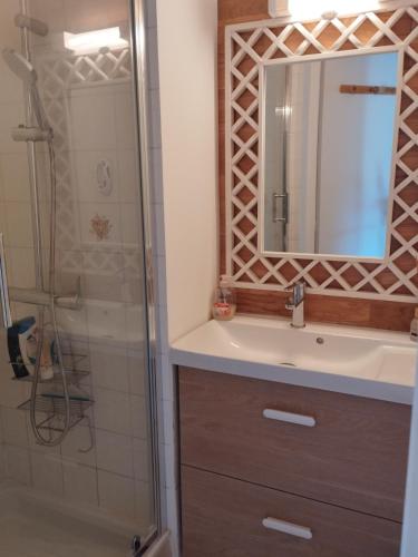 une salle de bain avec un lavabo et une douche avec un miroir dans l'établissement Gréolières les Neiges Studio 4 personnes, à Gréolières-les-Neiges