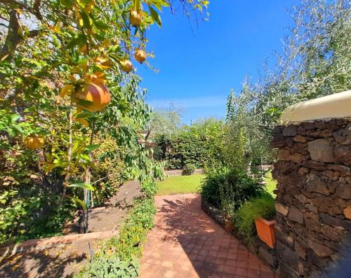 a garden with an orange tree and a stone wall at Dimora Migliori in Viagrande