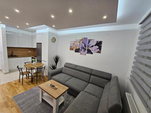 Χώρος καθιστικού στο Apartman Aleksej Pale Jahorina