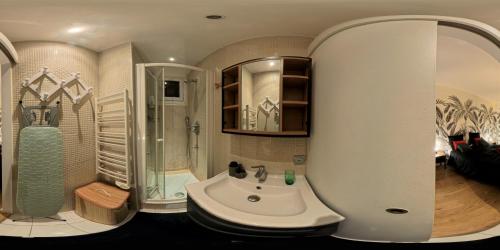 une salle de bain avec un lavabo, une douche et un miroir dans l'établissement Fabulous Paris F2 Champs-Elysées, à Paris