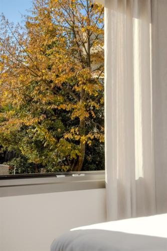 a window with a white curtain and a tree at Anvy Stylish Suites Ioannina in Ioannina