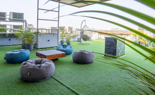 Κήπος έξω από το Housr Sector 43 Gurgaon Near Global Foyer Mall