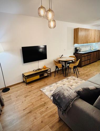 TV a/nebo společenská místnost v ubytování Apartament Michałek MountainAparts