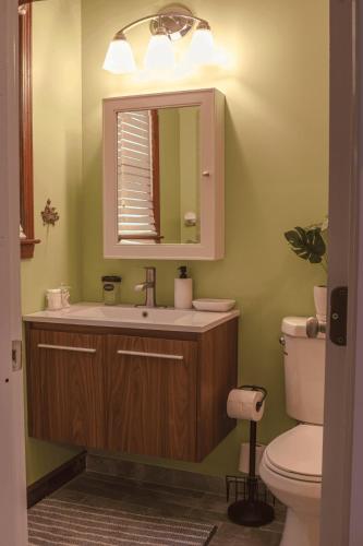 a bathroom with a sink and a toilet at Bustamante Ranch - Sovereign Lodge in McDonough