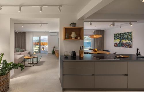 Dapur atau dapur kecil di Stunning Home In Splitska