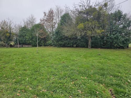 a field of green grass with a tree in it at Longère avec jacuzzi intérieur in Couesmes-vauce