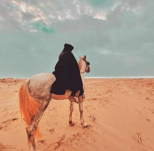 a man riding a horse on the beach at La luna de briech in Asilah