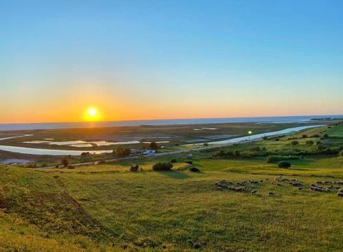 a sunset over a field with a herd of animals at La luna de briech in Asilah