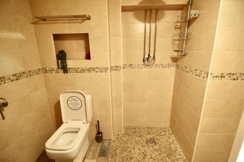 a bathroom with a toilet and a shower at Llanfair Hall, Dog Friendly, Cinema, Games Room, Hot Tub in Llanfairpwllgwyngyll