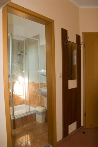 a bathroom with a shower and a sink at Korona Home in Sárvár