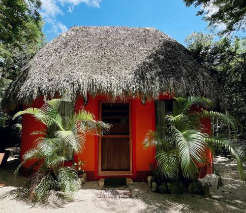 Zahrada ubytování Hotel Boutique Cenote Secreto Maya