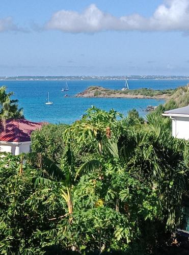 a view of the ocean with boats in the water at Chambre d'hôte friar's bay in Friar's Bay
