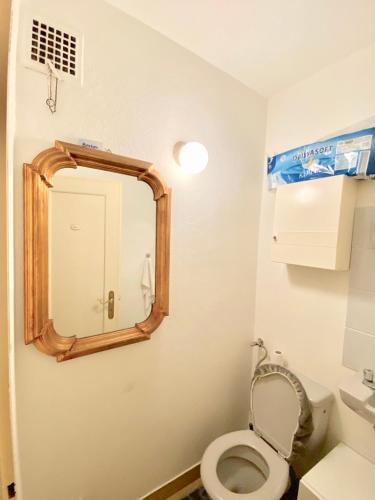 a bathroom with a toilet and a mirror at Lutyma in Basel