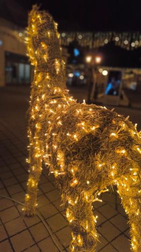 Gambar di galeri bagi U Srcu Šokadije di Ðakovo
