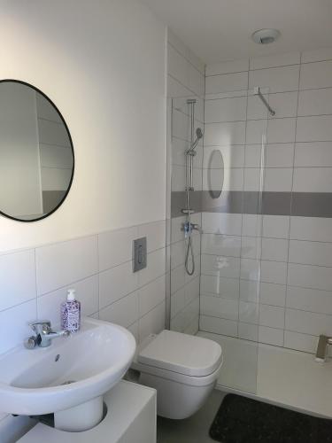 une salle de bain avec un lavabo, des toilettes et une douche dans l'établissement L'Authentique - Mulhouse Centre, à Mulhouse