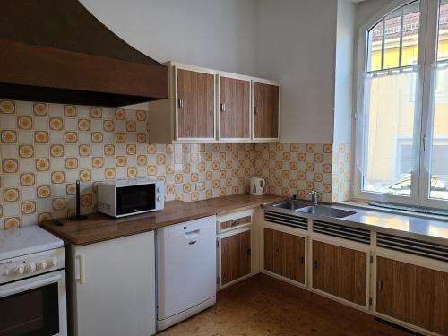 une cuisine avec un évier et un micro-ondes dans l'établissement L'Authentique - Mulhouse Centre, à Mulhouse