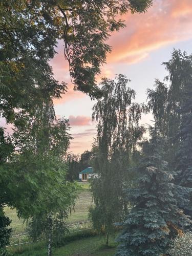 Wzgórze Na Jurze