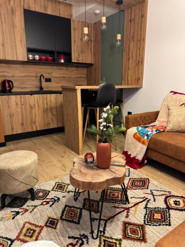 Kuchyň nebo kuchyňský kout v ubytování Winter Park Idila apartments