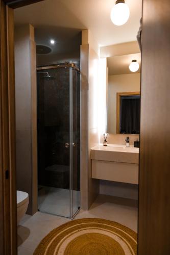 a bathroom with a shower and a toilet and a sink at Гуманист Бутик-отель in Karagandy