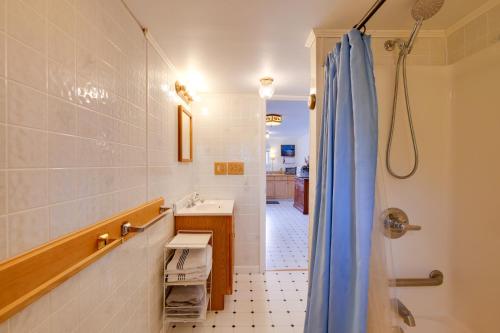 a bathroom with a shower and a sink at Waterfront Cottage - 17 Mi to Acadia Ntnl Pk! in Marlboro