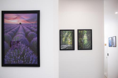 Green Garden photo 34
