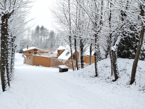 Chalets under Falcon Ridge