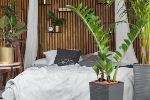 a bed in a room with potted plants on it at Green Houses in Wijk bij Duurstede