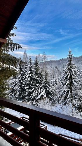 a view of a snow covered forest from a window at Hill House SD in Topliţa