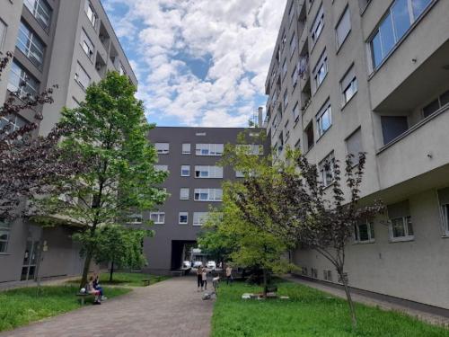 Apartman Lumi Arena
