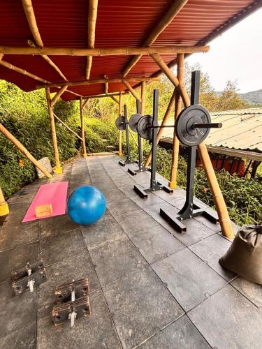 a gym with a row of weights and a blue ball at Casa Encuentro Ecolodge, Outdoor Gym and Yoga in Guatapé
