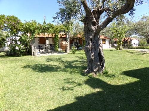Gallery image of Villa Karapataki in Skala Rachoniou