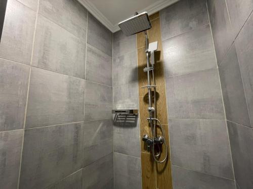 a shower with a wooden door in a bathroom at La Ferme du Château - Studio 2 in Fontaine-lʼÉvêque