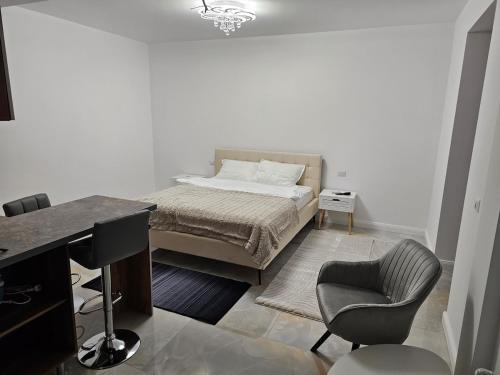 a bedroom with a bed and a desk and a chair at visitor's house 1 in Rădăuţi