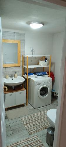 a bathroom with a washing machine and a sink at Csergő Kulcsosház in Senetea