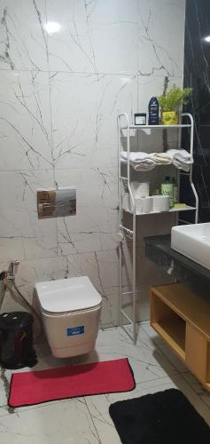 a bathroom with a toilet and a sink at Aerostay Jamal in Dah Hammou Ben Cheïkh