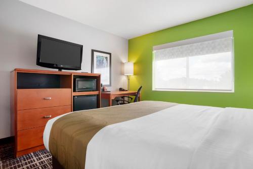 a bedroom with a bed and a tv and a desk at Quality Inn & Suites Birmingham - Highway 280 in Birmingham