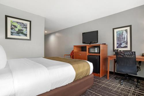 a hotel room with a bed and a desk and a tv at Quality Inn & Suites Birmingham - Highway 280 in Birmingham