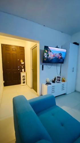 Телевизор и/или развлекательный центр в Ground floor apartment, CAS, Centenario, Cons