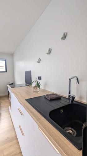 une cuisine avec un évier et un plan de travail dans l'établissement Jupiter Tiny House, à Nanteuil-lès-Meaux