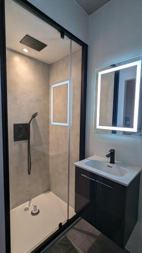 une salle de bain avec une douche, un lavabo et un miroir dans l'établissement Jupiter Tiny House, à Nanteuil-lès-Meaux