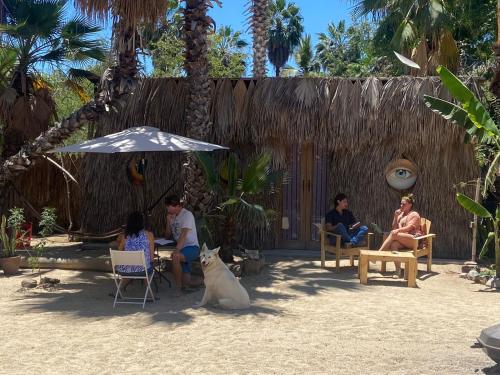a group of people sitting under an umbrella on the beach at La Sardina in Todos Santos