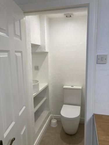 a bathroom with a white toilet in a room at Blueberry Inn in Dundalk