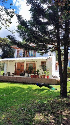 Cabaña Buenavista 3 habitaciones