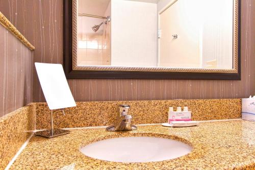 a bathroom with a sink and a mirror at Courtyard Blacksburg in Blacksburg